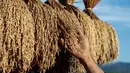 Seren Taun merupakan kearifan lokal sebagai ungkapan rasa syukur kepada Tuhan atas hasil panen yang melimpah. (Aditya AJI/AFP)