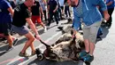 Petani membawa domba-domba yang mati oleh serangan beruang ke sub-prefektur Bayonne, Prancis, Senin (2/9/2019). Petani memprotes meningkatnya serangan beruang terhadap kawanan domba di pegunungan Pyrenees. (AP Photo Bob Edme)