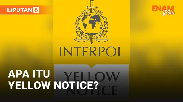 Apa itu Yellow Notice Terkait Hilangnya Anak Ridwan Kamil?