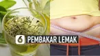 Lemak menumpuk memang menjadi masalah bagi sejumlah orang. Ini dia minuman yang dapat membakar lemak.