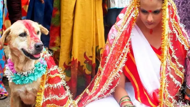 Pernikahan manusia dan hewan di India