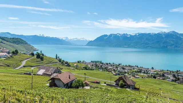 Lake Geneva