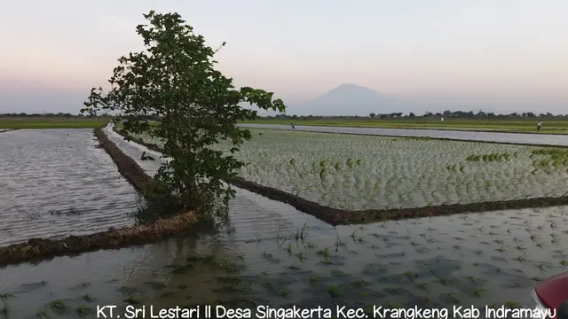 Kementan