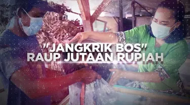 Yuk, ikuti kisah ini maupun yang lainnya dalam Program Berani Berubah, hasil kolaborasi antara SCTV, Indosiar bersama media digital Liputan6.com dan Merdeka.com.