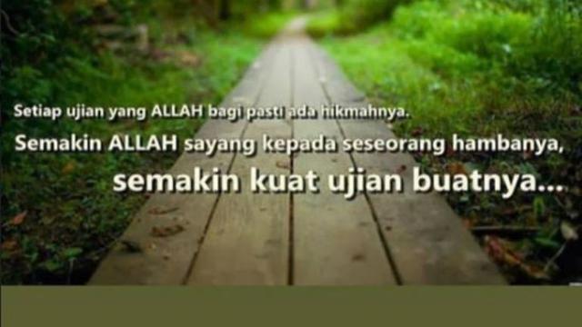 Della Perez (Foto: Instagram)