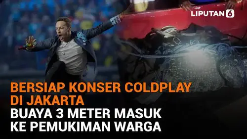 Bersiap Konser Coldplay di Jakarta, Buaya 3 Meter Masuk ke Pemukiman Warga