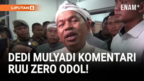  Kata Dedi Mulyadi Soal Sopir Truk Blokade Jalan di Jawa Barat