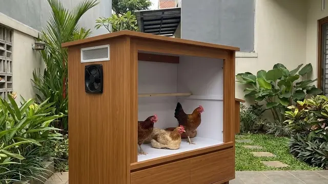 Kandang Ayam Minimalis yang Tidak Bau dan Mudah Dibersihkan