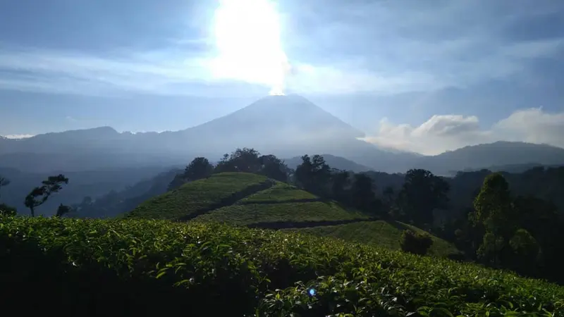 6 Destinasi Wisata Kece untuk Habiskan Liburan Akhir Tahun di Brebes