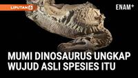 Peneliti di Amerika Serikat menemukan dua mumi dinosaurus yang masih menyimpan bekas kulit dan jaringan lunak. Penemuan langka ini membantu