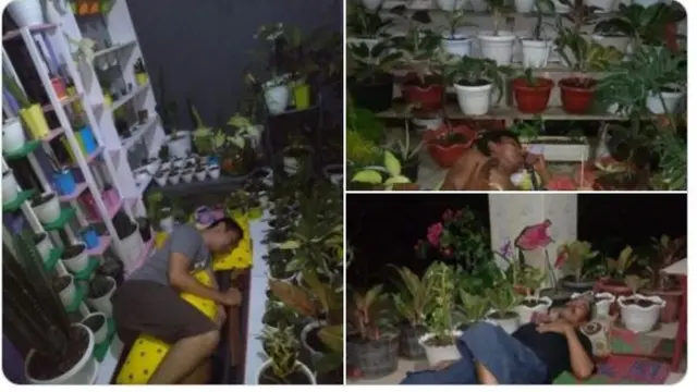 Istri Hob Berkebun, Suami Tidur di Luar Rumah demi Jaga Tanaman