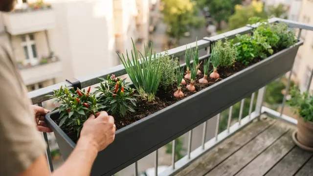 ide kebun bumbu dapur yang hemat tempat