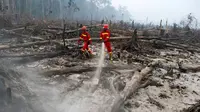 Petugas pemadam kebakaran berusaha mematikan sisa titik api yang masih menyala di cagar alam biosfer Giam Siak Kecil di Riau (3/9/2015). Kebakaran hutan dan lahan di Riau dipastikan masih akan berlangsung lama. (AFP PHOTO/ALFACHROZIE)