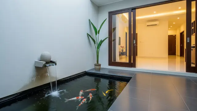 Ingin Rumah Terlihat Berbeda di 2026? Coba 7 Kolam Ikan Minimalis di Sudut Rumah untuk Hunian Asri