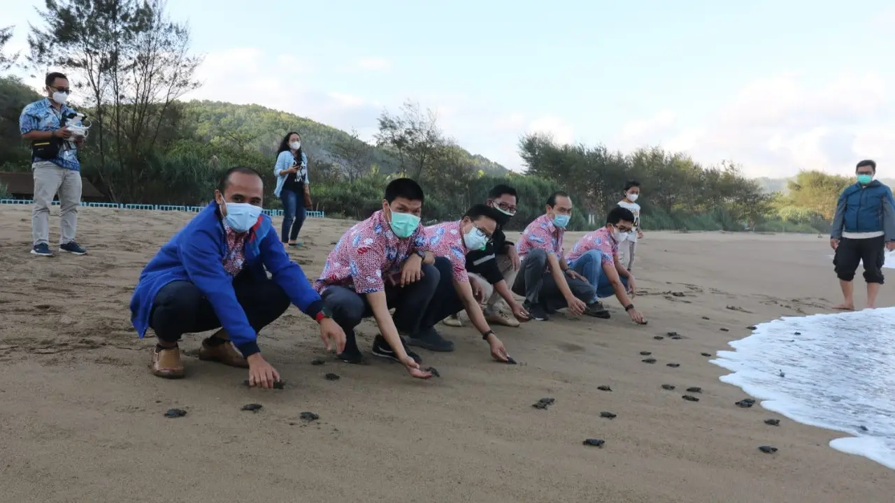 Pelepasan tukik di pantai Pacitan. (Dian Kurniawan/Liputan6.com)