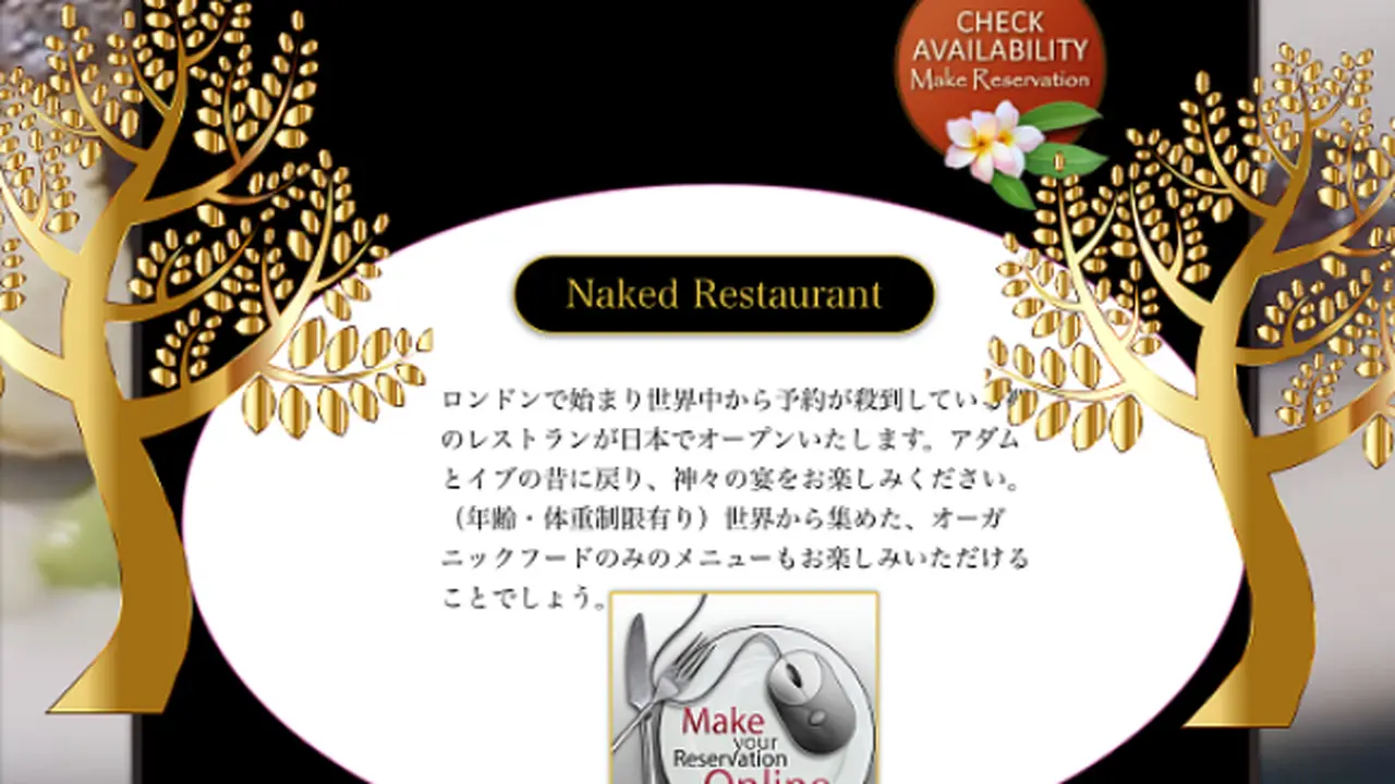 Tokyo naked restaurant (0)