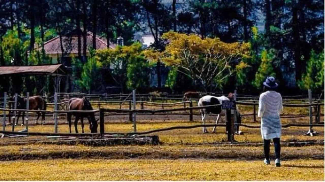 De'Ranch Lembang