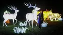 Seorang wanita berpose disamping instalasi cahaya rusa di Chiswick House and Gardens dalam acara resmi penyalaan Festival Lightopia (sesi pemotretan) di London, Inggris (21/1/2020). Lightopia dibuka untuk umum dari 22 Januari hingga 1 Maret. (Xinhua/Han Yan)