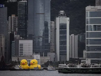 Dua bebek kuning tiup besar (kiri) yang disebut "Double Duck” oleh seniman Belanda Florentijn Hofman terlihat di Pelabuhan Victoria di Hong Kong, Jumat (9/6/2023). (Photo by ISAAC LAWRENCE / AFP)