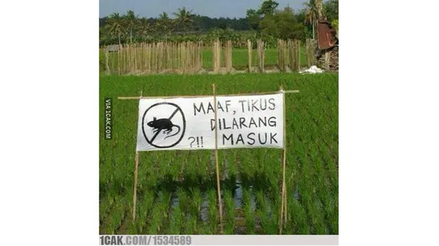 6 Kelakuan Nyeleneh saat di Sawah Ini Bikin Geleng Kepala