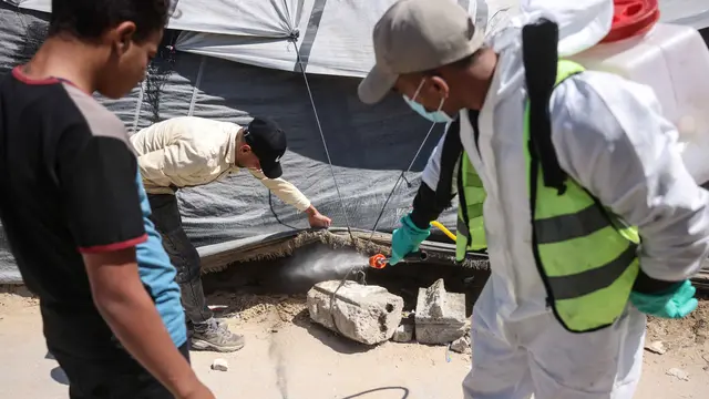 Serangan Tikus dan Serangga, Perburuk Krisis Kemanusiaan di Gaza