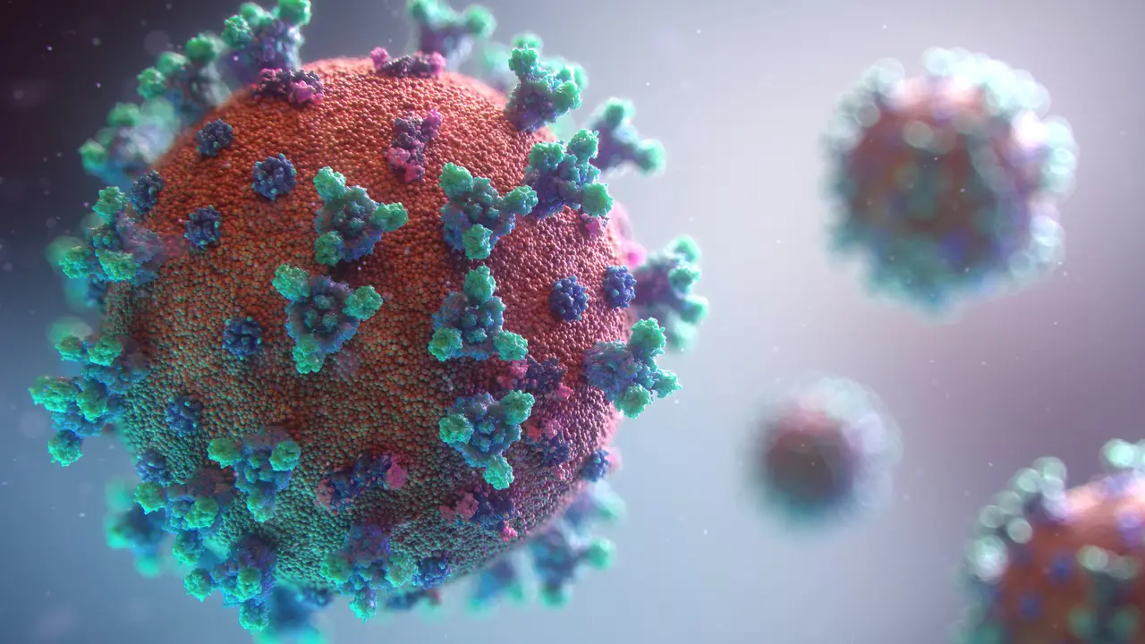 Virus COVID-19, H5N1, dan H1N1