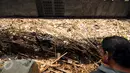 Warga memerhatikan tumpukan sampah di kolong jembatan Rawajati, Kalibata, Jakarta, Senin (16/11/2015). Sampah yang didominasi batang bambu terbawa arus sungai Ciliwung akibat hujan deras yang melanda Bogor, Minggu (15/11) (Liputan6.com/Helmi Fithriansyah)