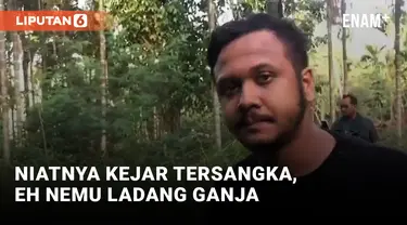 Polda Banten Temukan 3 Hektar Ladang Ganja di Aceh