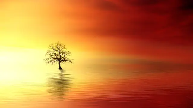 Ilustrasi Senja