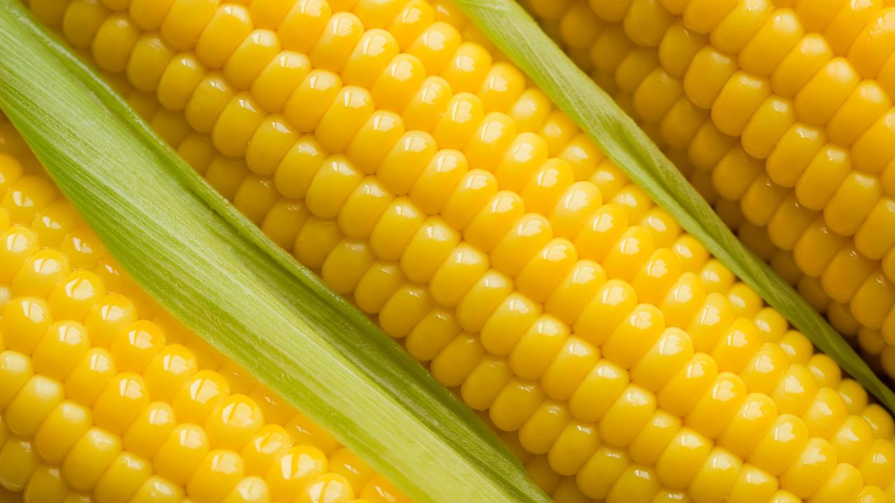 Jagung Bisa Buat Kulit dan Rambut Sehat