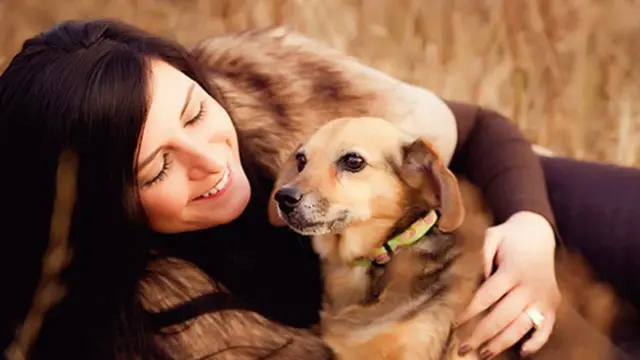 Ilustrasi (c) petyourdog.com