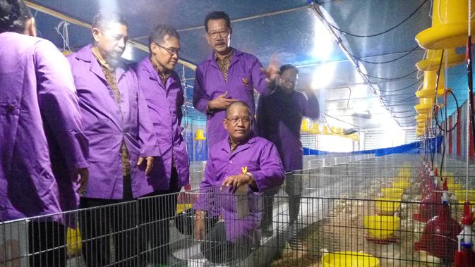 Menilik Kandang Ayam Tertutup Pertama Di Indonesia Milik Ugm Regional Liputan6 Com