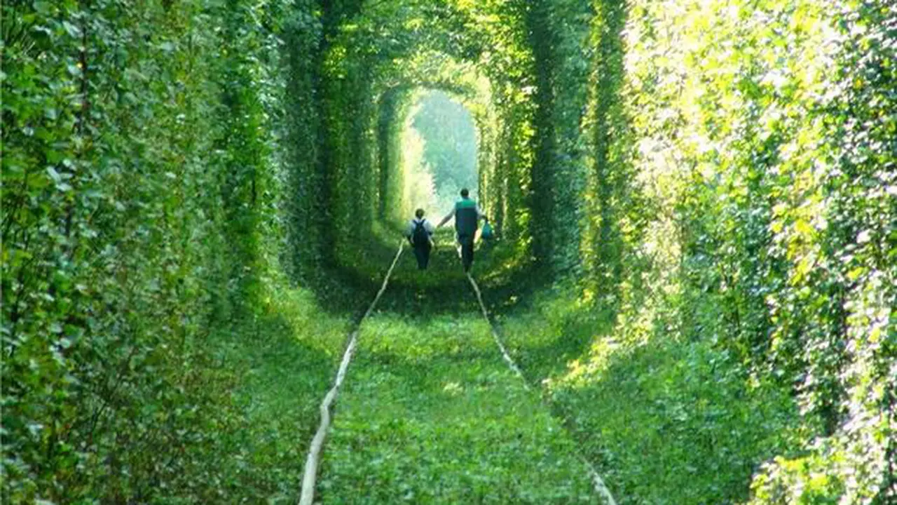 The Tunnel of Love
