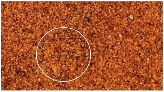 Uji Ketajaman Mata dalam 5 Detik, Temukan Ular yang Tersamar dalam Ilusi Optik Ini