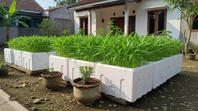 Pastikan Styrofoam Tidak Terpapar Panas Matahari Berlebih