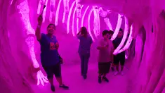 Pengunjung menikmati objek wisata Meow Wolf di sebuah tempat bekas arena bowling tua di Santa Fe, New Mexico (31/7). Objek wisata dan pameran instalasi ini terinspirasi dari film serial  Dr Who TARDIS. (AFP Photo/Mark Ralston)
