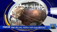 Perbarui informasi Anda bersama Fokus (19/05) dengan berbagai berita sebagai berikut, Pedagang Masker Sepi Pembeli, PMK Meluas, Harga Sapi Kian Meroket, Pilkades Berhadian Motor.