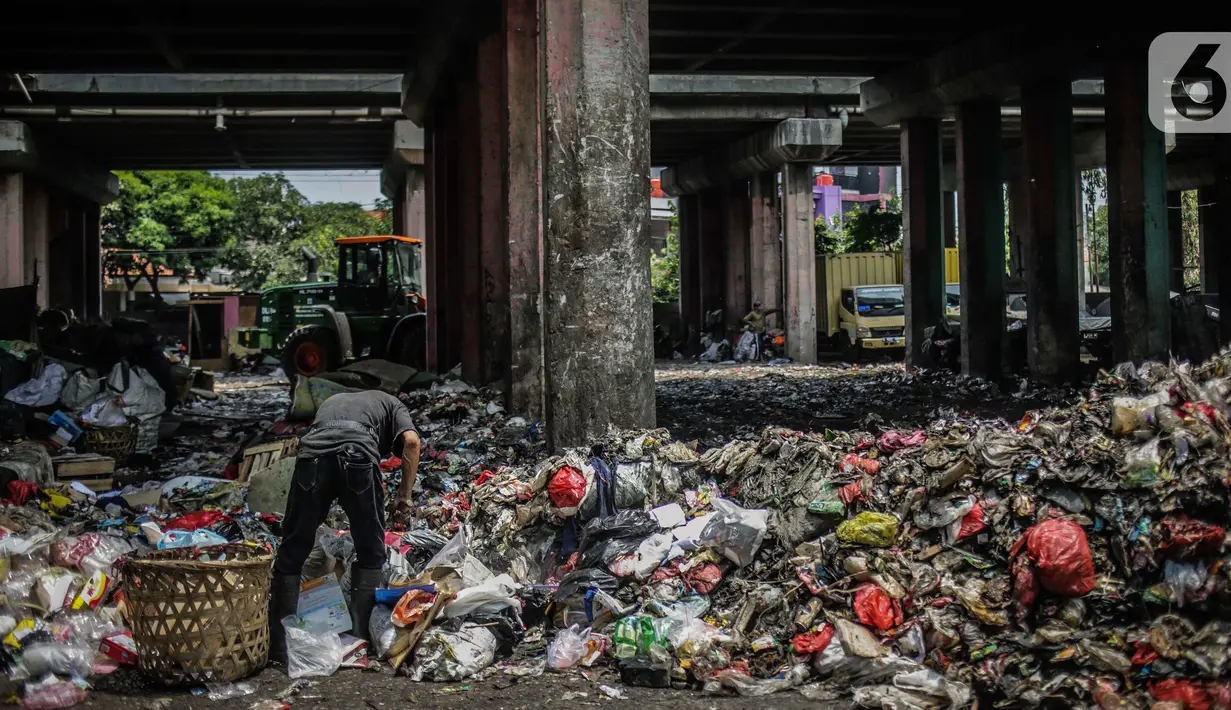 Pemulung memilah sampah di kolong tol Wiyoto Wiyono, Jalan sungai Bambu Raya, Tanjung Priok, Jakarta, Selasa (5/11/2019). Tumpukan sampah hingga menutupi badan jalan di Sungai Bambu Raya sempat viral di media sosial. (Liputan6.com/Faizal Fanani)
