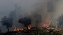 Kebakaran hutan terjadi di Lagoa, Portugal, Kamis (8/9). Dikabarkan lebih dari 100 ribu hektare hutan terbakar. (REUTERS / Miguel Vidal)