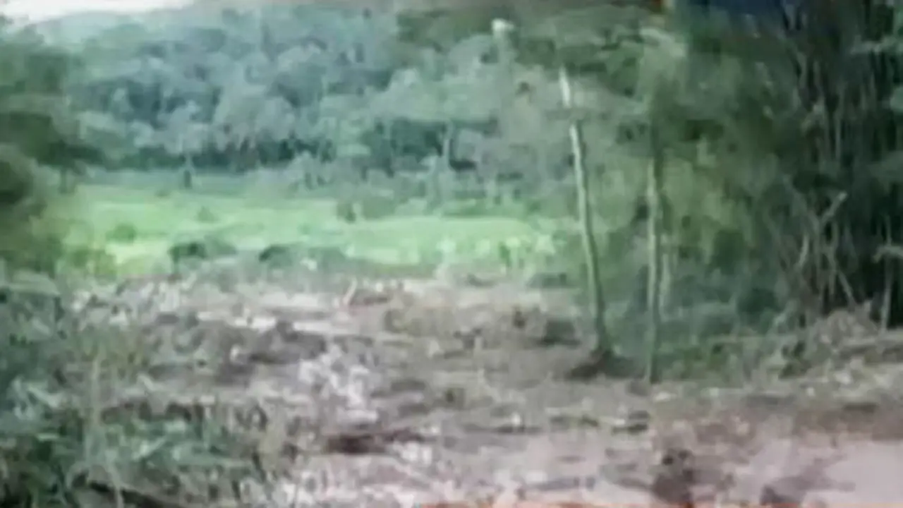 Segmen 1: Longsor di Purworejo hingga Peringatan Cuaca Ekstrem