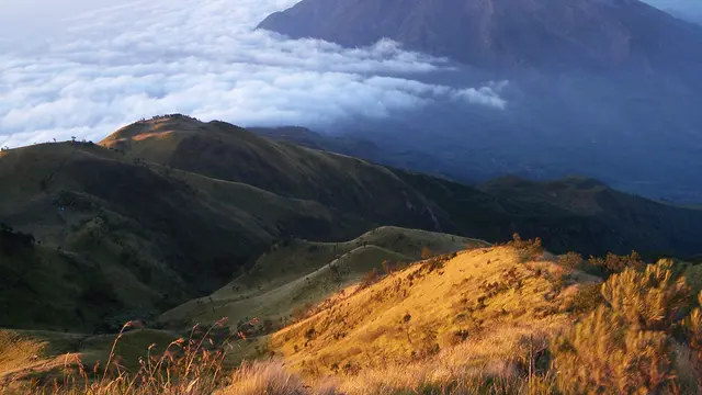 5 Akun Twitter yang Harus di Follow Sebelum ke Gunung Lawu