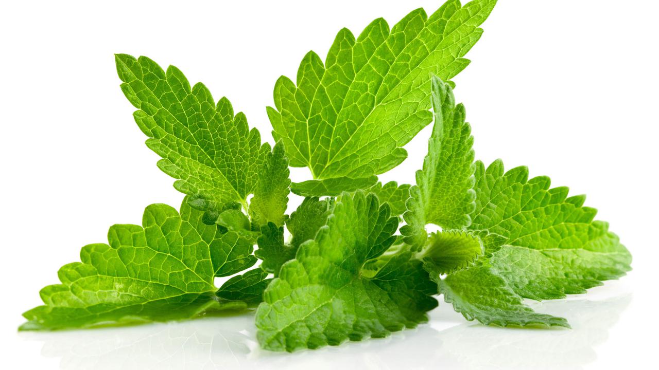 Tambahkan 6 Bahan Alami Ini Pada Setiap Makan dan Minum Anda