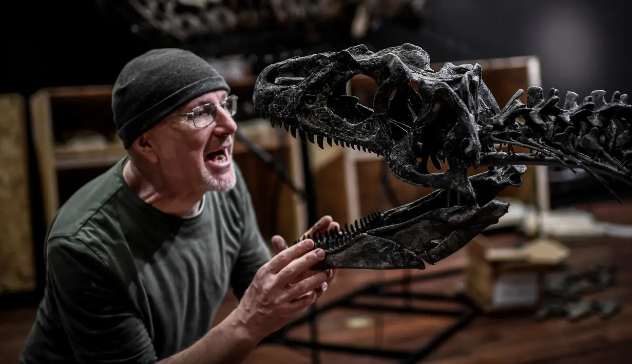 Seorang pakar Italia merakit kerangka dinosaurus, Allosaurus sebelum mulai dilelang di Balai lelang Drouot, Paris, Jumat (6/4). Allosaurus itu merupakan satu di antara 87 artefak yang dianggap "kecil" dengan ukuran 3,8 meter. (STEPHANE DE SAKUTIN/AFP)