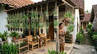 8 Cara Membuat Kebun Bawang Merah Gantung, Jaminan Tumbuh Subur