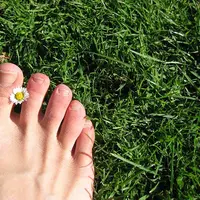 Ilustrasi kuku jari kaki. (Gambar oleh Hans Braxmeier dari Pixabay)