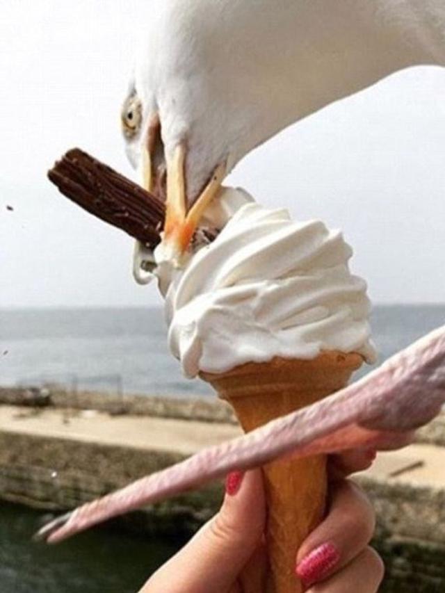 8 Momen Apes Netizen saat Akan Makan Ini Bikin Elus Dada