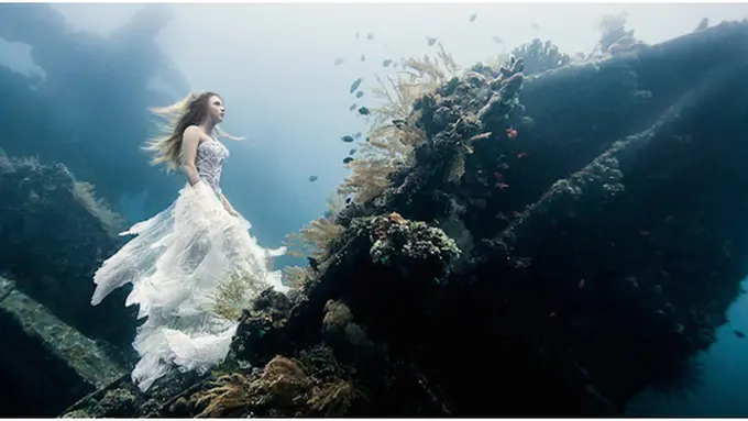 Photo copyright My Modern Met/Benjamin Von Wong