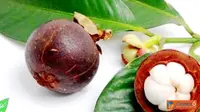 Ini Dia, Obat Jantung di Sekitar Kita