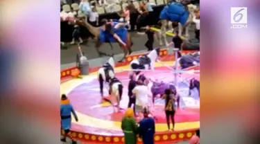 Seekor unta mengamuk saat pertunjukan sirkus di Pittsburgh, Pennsylvania, Amerika Serikat. Akibatnya tujuh anak mengalami luka-luka dalam insiden ini.