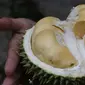 durian